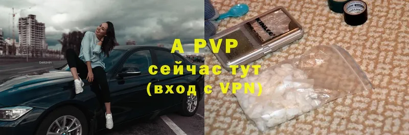 Alfa_PVP СК КРИС  Княгинино 